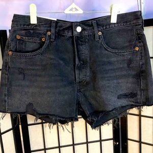 NWT Agolde Vortex Parker Vintage Cut Off Short, Size 29